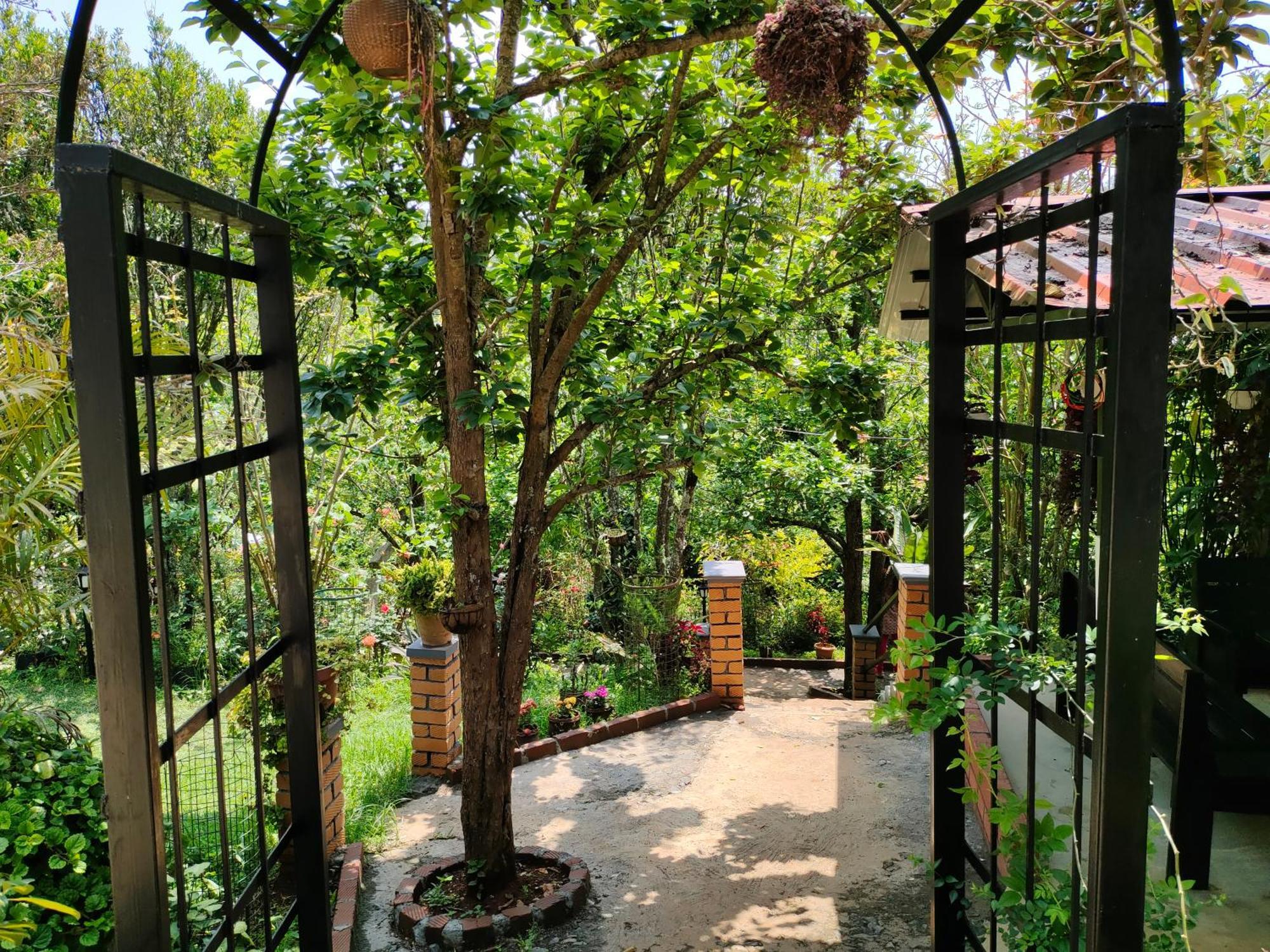 Pear Tree Entire 2Bhk Villa Kotagiri Bagian luar foto