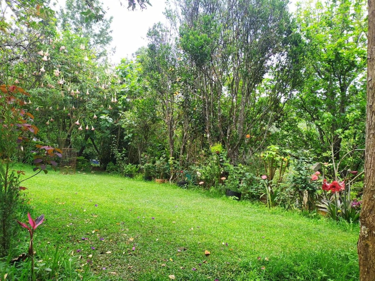 Pear Tree Entire 2Bhk Villa Kotagiri Bagian luar foto