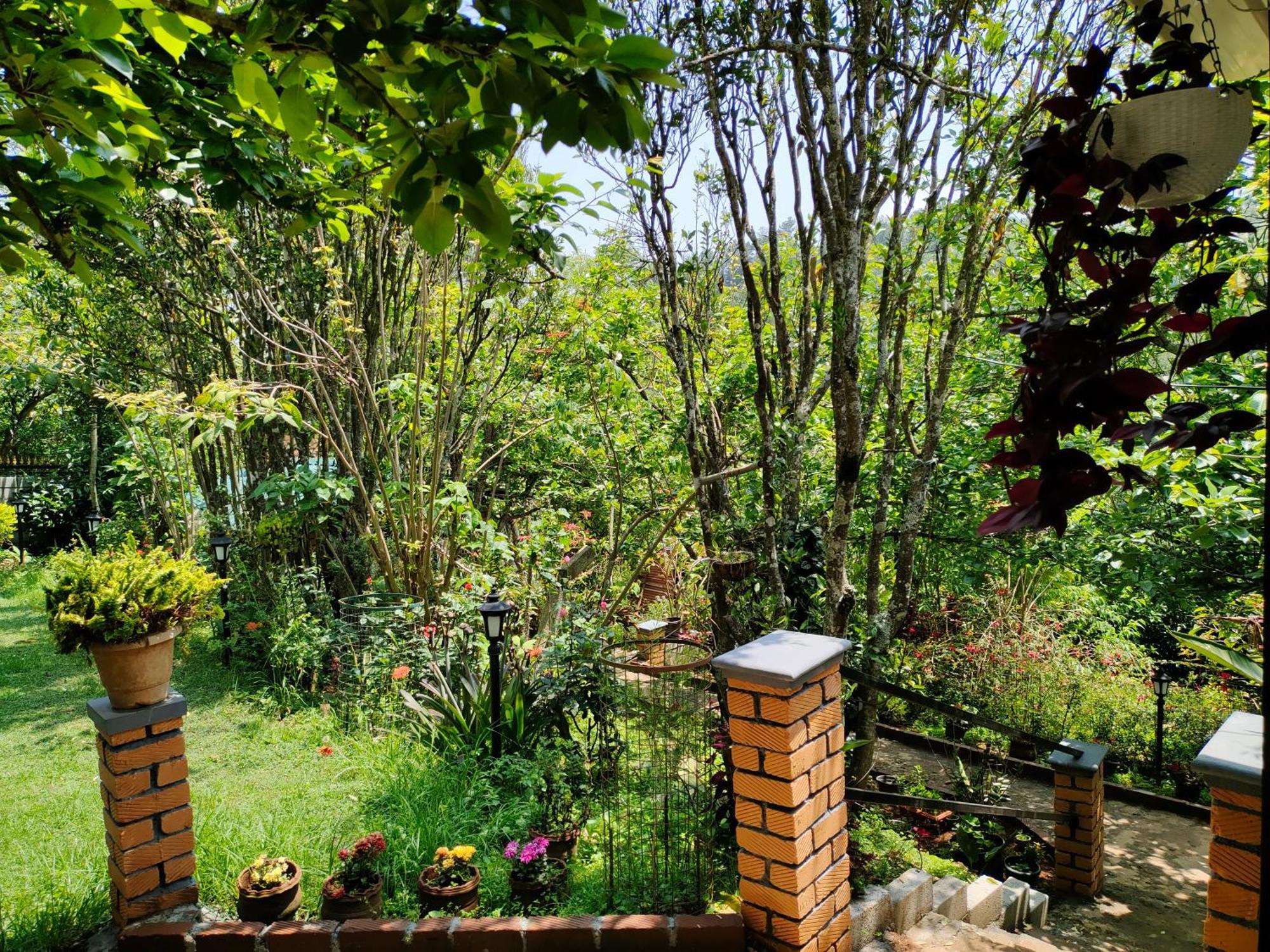 Pear Tree Entire 2Bhk Villa Kotagiri Bagian luar foto