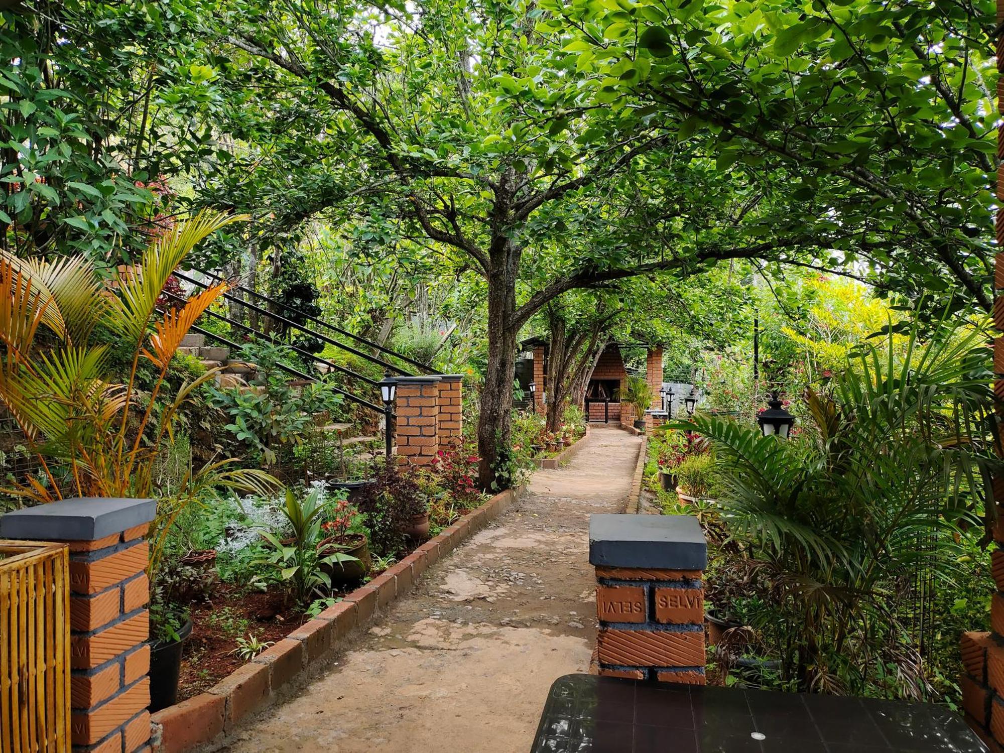 Pear Tree Entire 2Bhk Villa Kotagiri Bagian luar foto